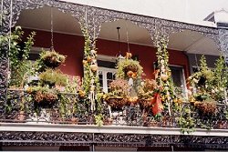 Halloween in the French Quarter