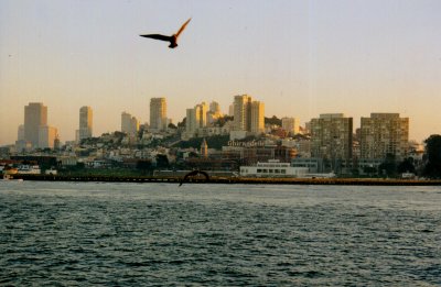 Fisherman's Wharf - Klicken, um das Motiv als Postkarte zu versenden