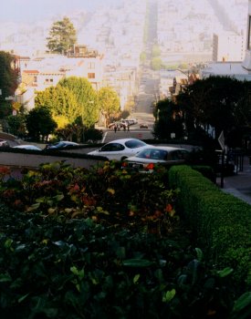 Lombard Street von oben - Klicken, um das Motiv als Postkarte zu versenden